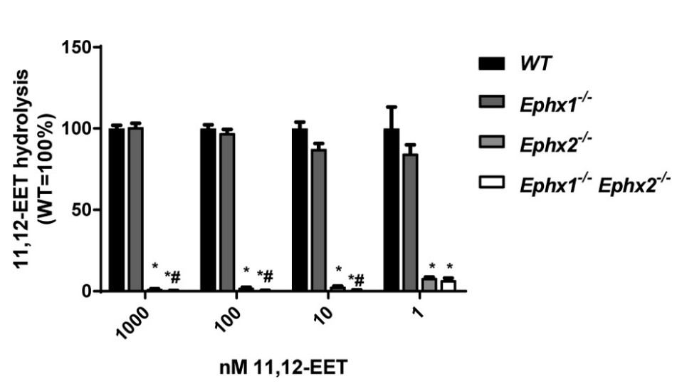 Relative contribution of EPHX1 and EPHX2 to EET hydrolysis in liver S9 fractions.jpg